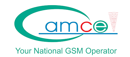 mobile wallet payout partners in Gambia